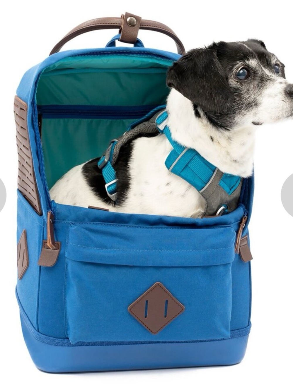 Kurgo Red Pet Carrier Backpack with Teal Interior